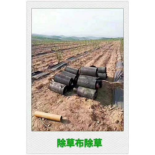 防草布10